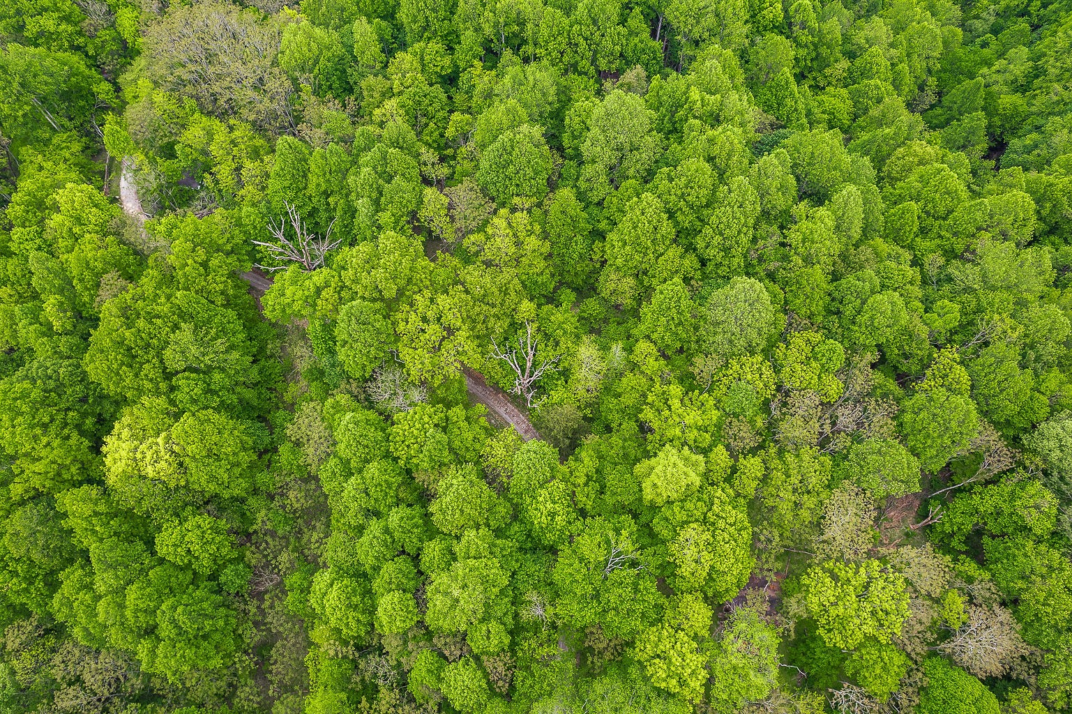 0 Hewitt Ridge Road Baxter, TN 38544 - Photo 12 of 62