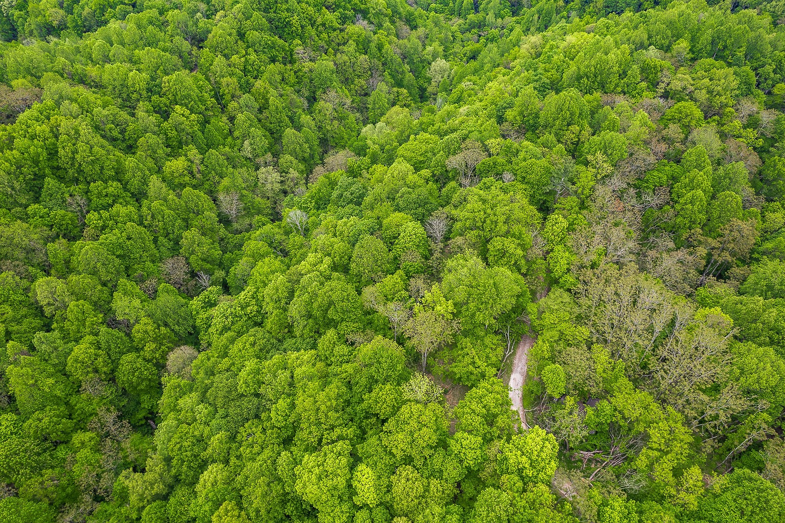 0 Hewitt Ridge Road Baxter, TN 38544 - Photo 13 of 62