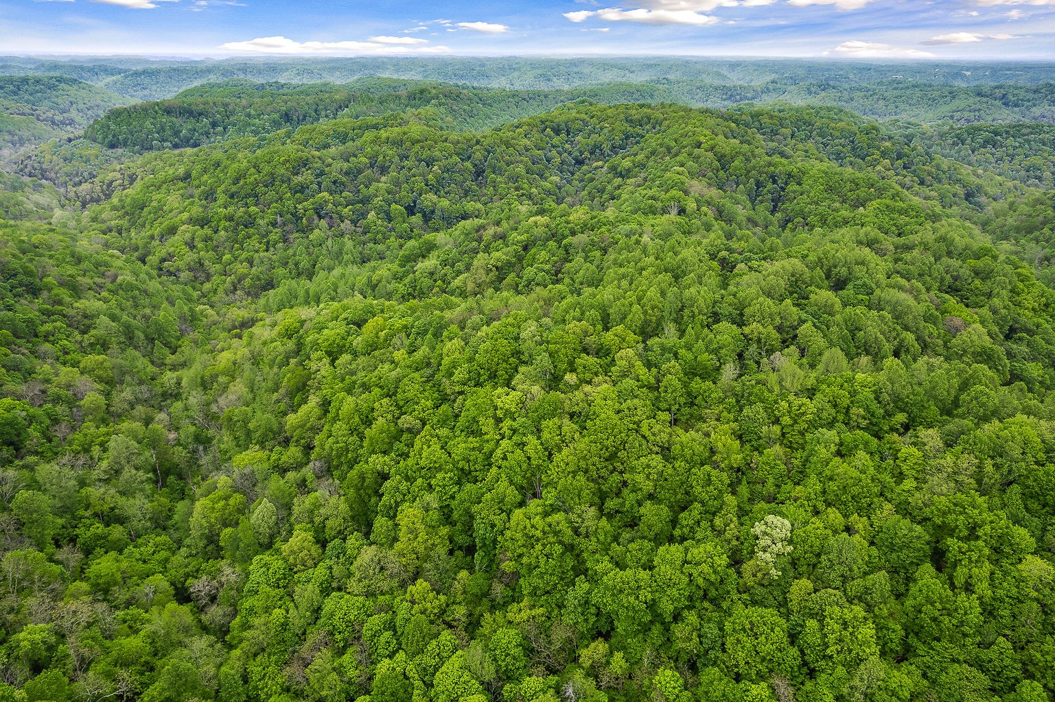 0 Hewitt Ridge Road Baxter, TN 38544 - Photo 15 of 62