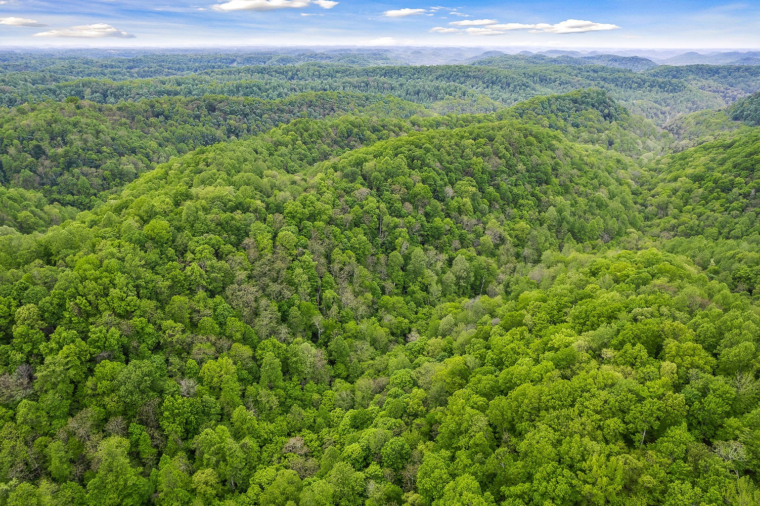 0 Hewitt Ridge Road Baxter, TN 38544 - Photo 16 of 62