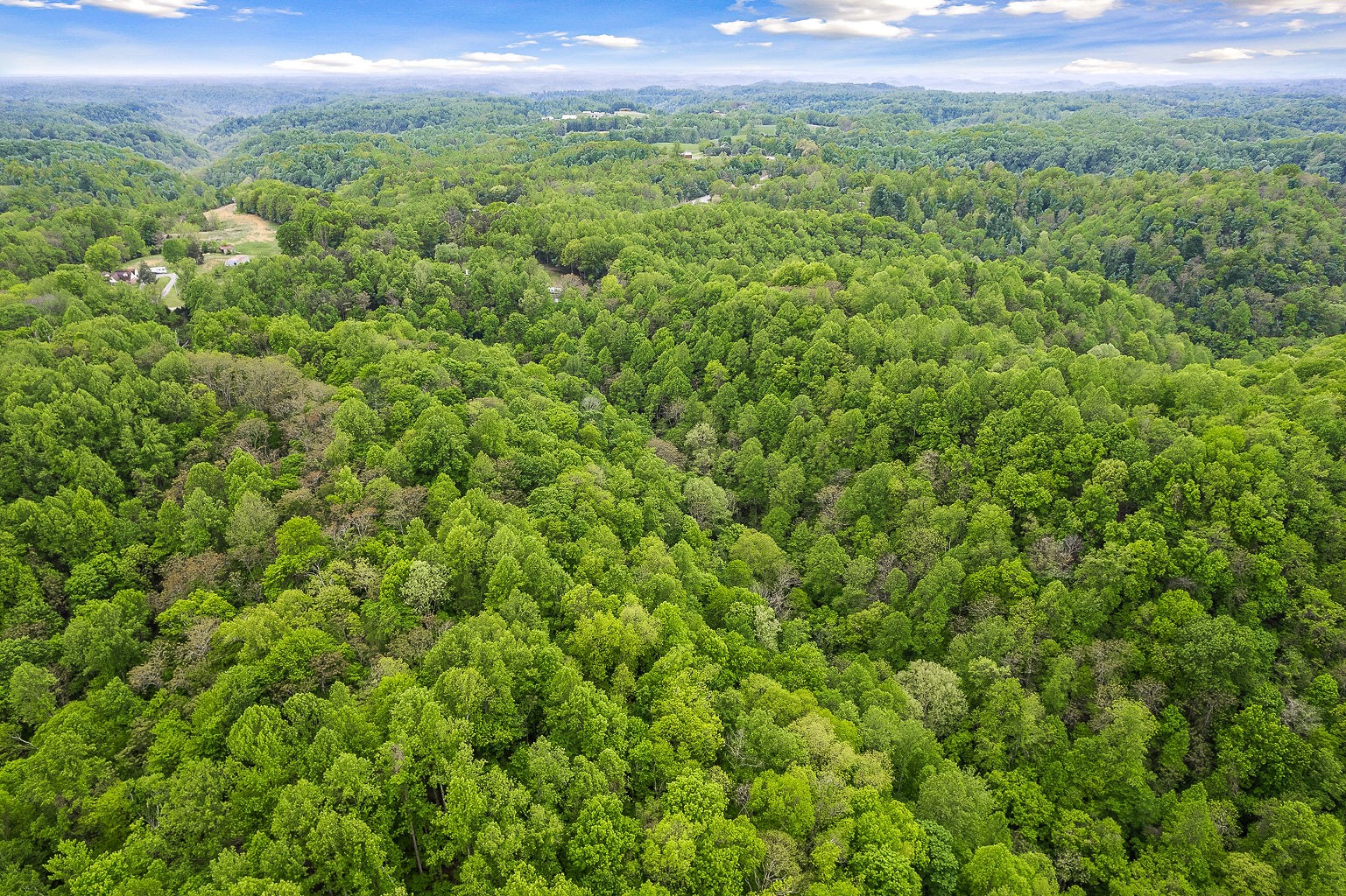 0 Hewitt Ridge Road Baxter, TN 38544 - Photo 17 of 62