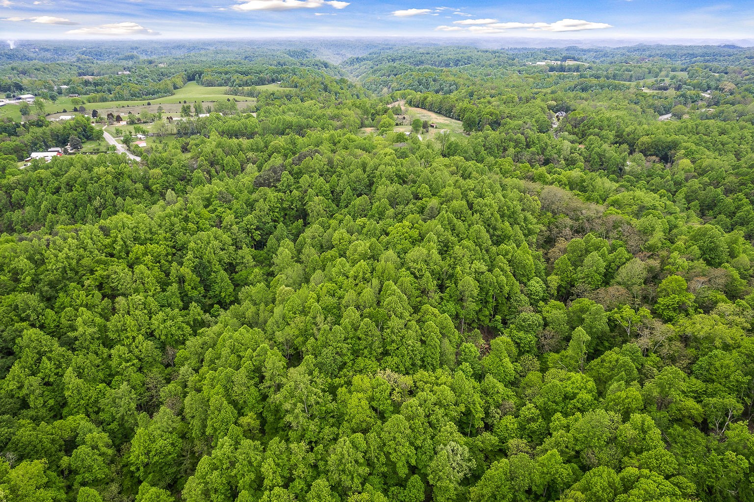 0 Hewitt Ridge Road Baxter, TN 38544 - Photo 18 of 62