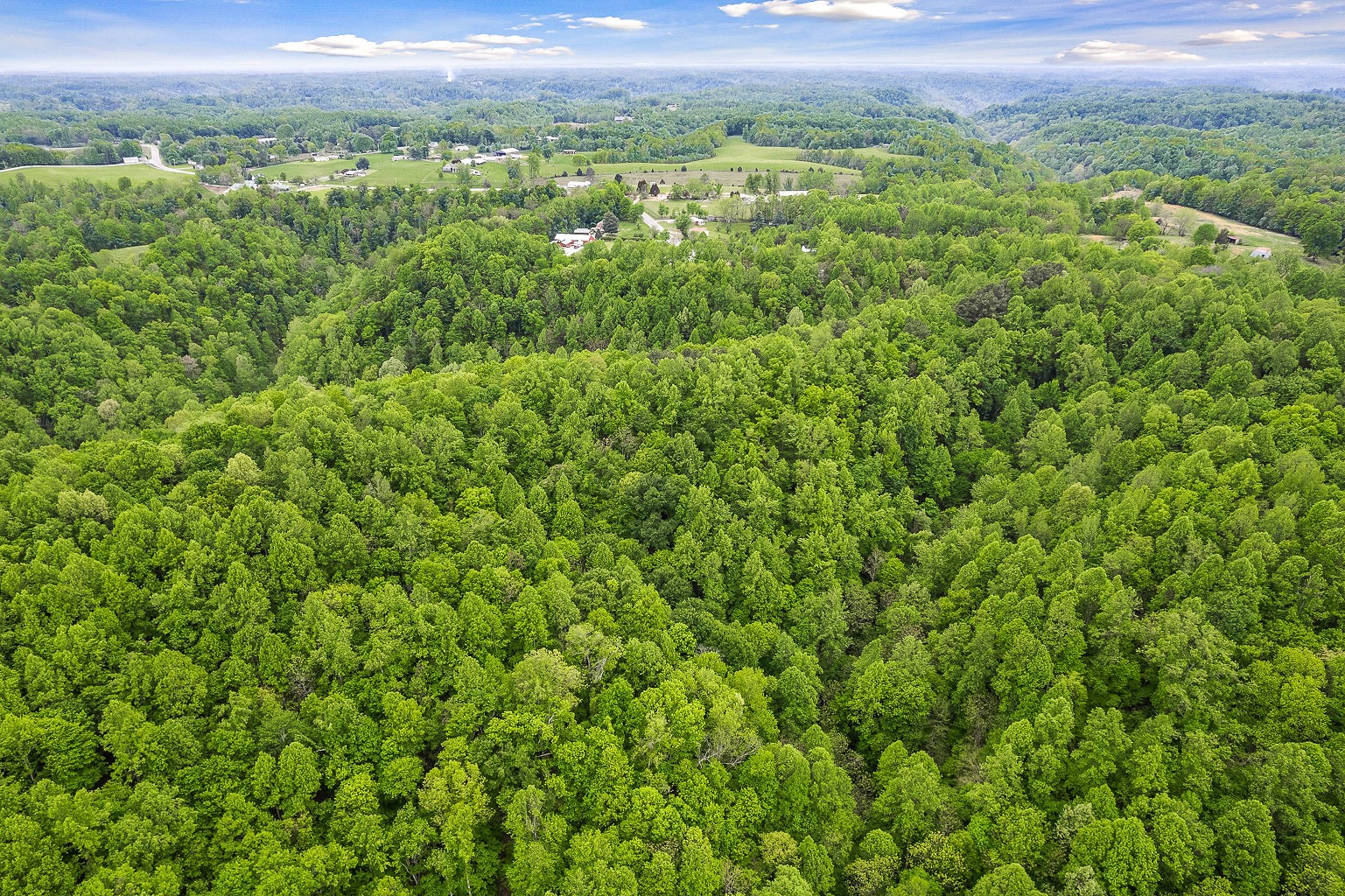 0 Hewitt Ridge Road Baxter, TN 38544 - Photo 19 of 62
