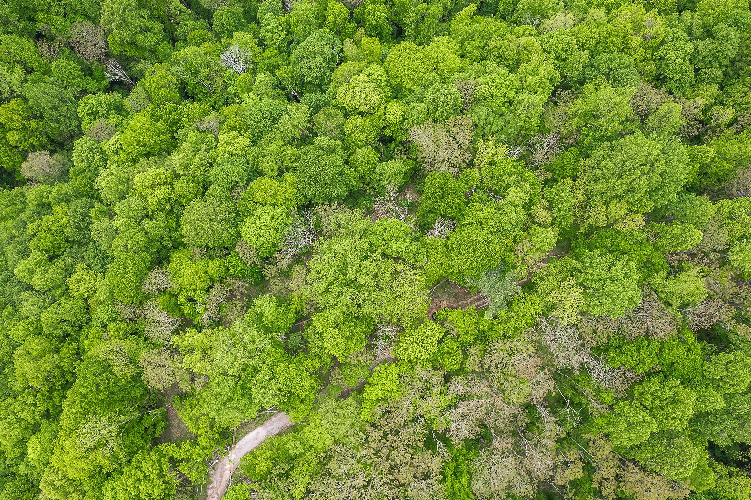 0 Hewitt Ridge Road Baxter, TN 38544 - Photo 2 of 62