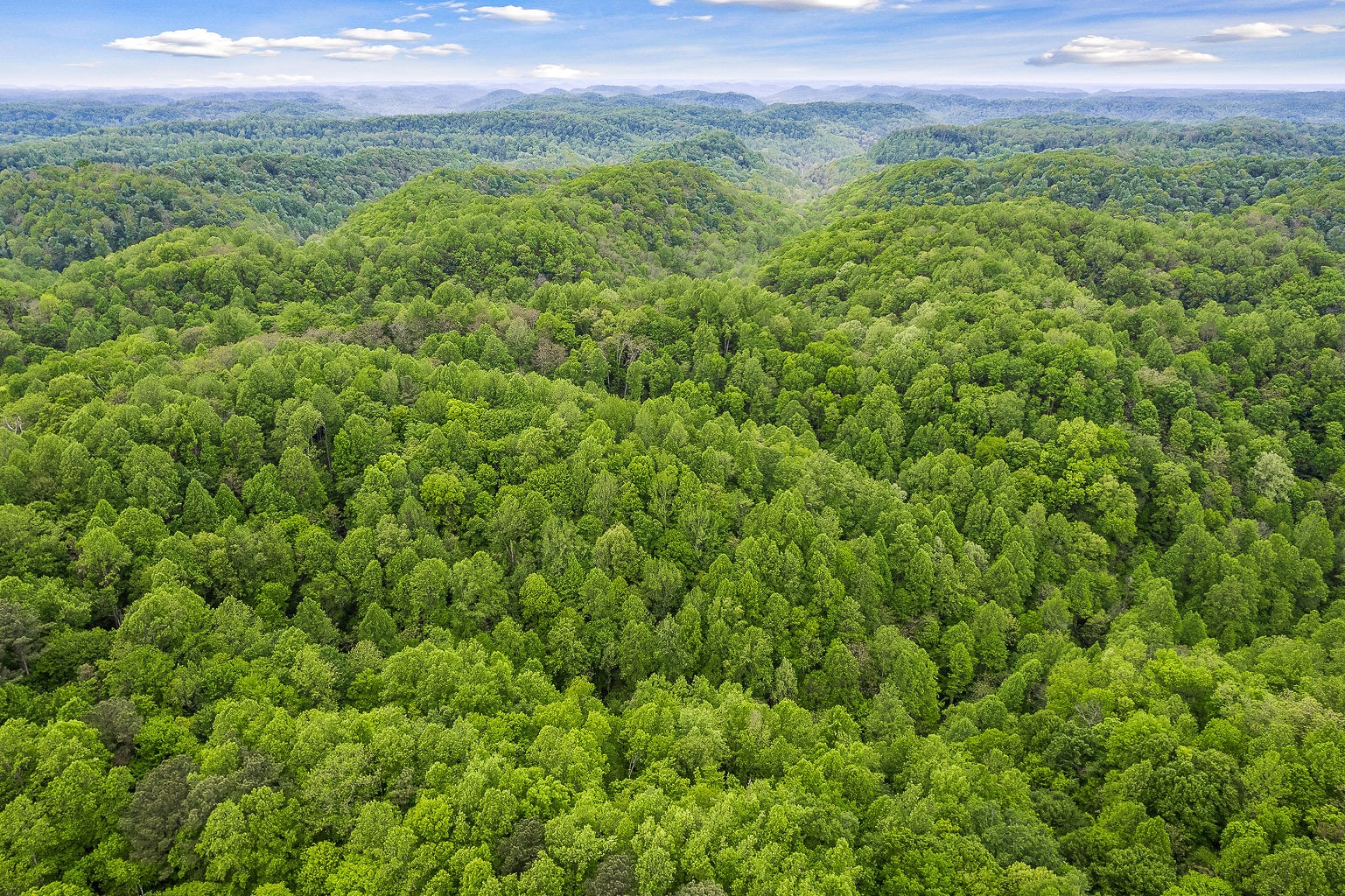 0 Hewitt Ridge Road Baxter, TN 38544 - Photo 21 of 62