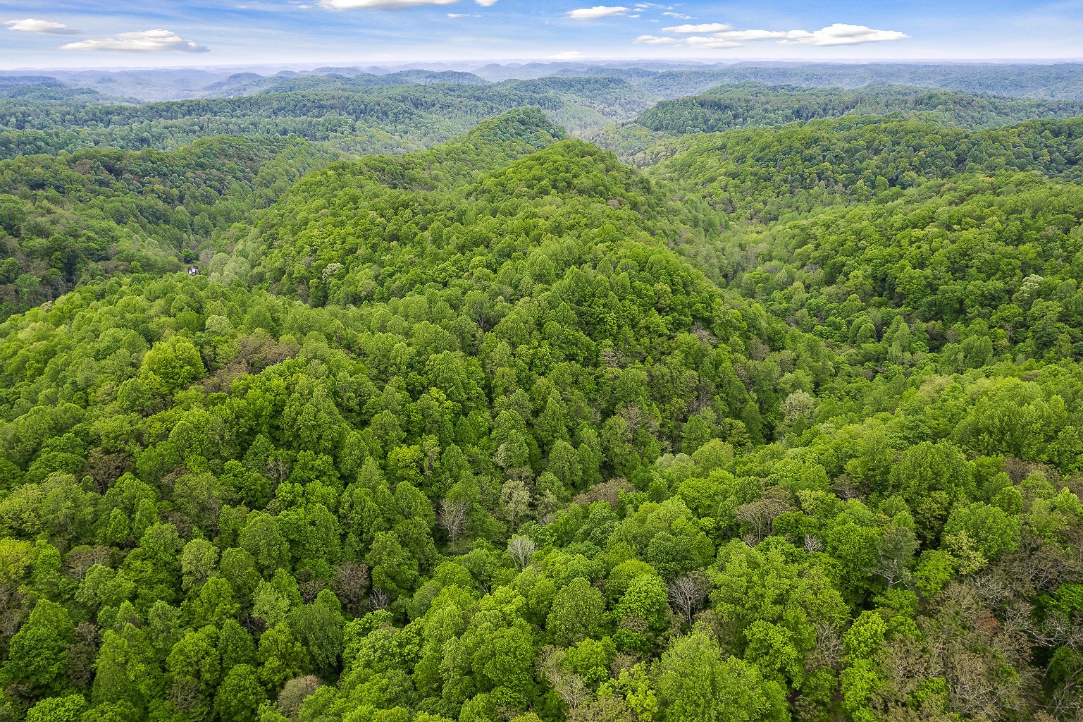0 Hewitt Ridge Road Baxter, TN 38544 - Photo 22 of 62
