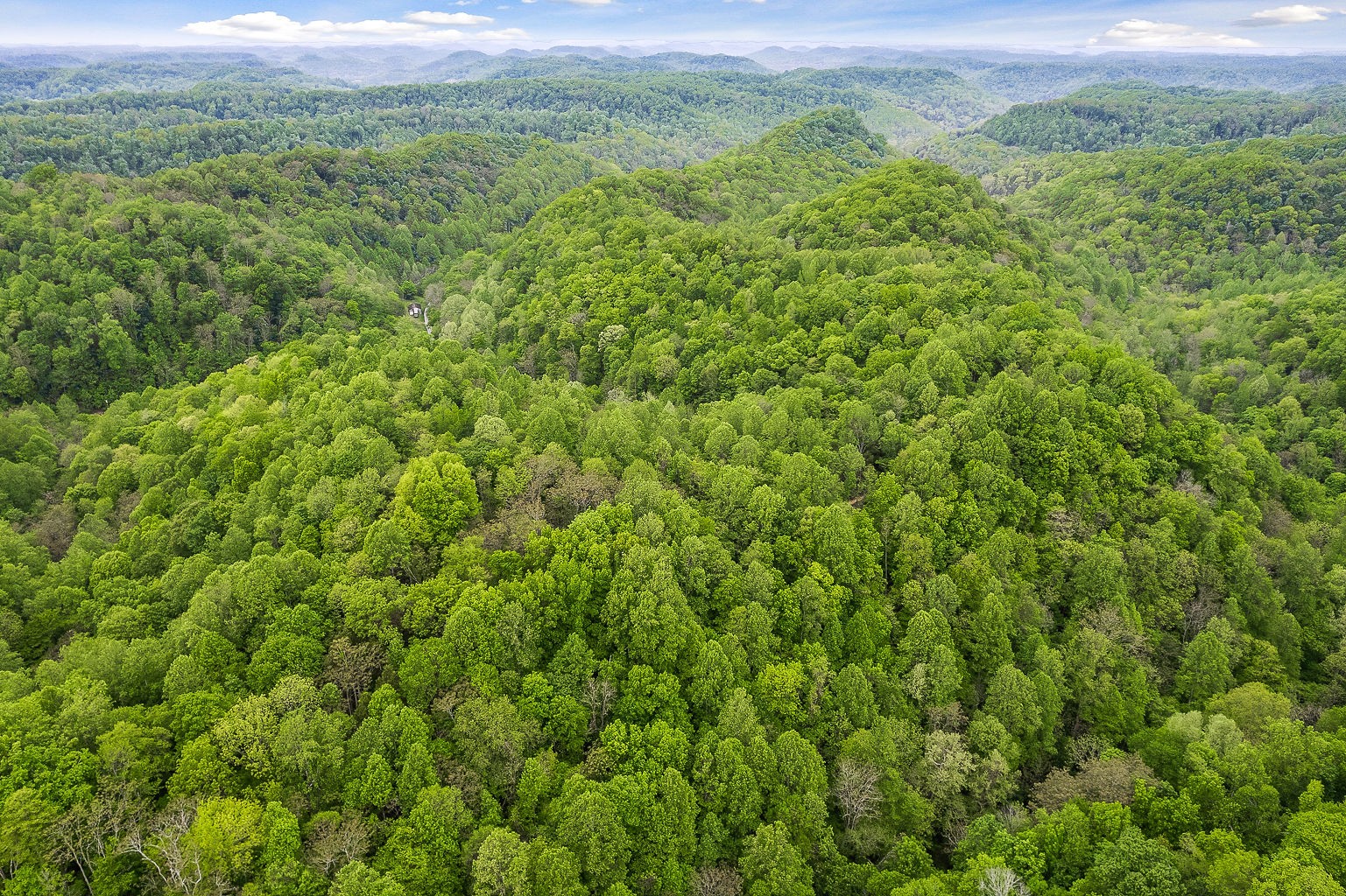 0 Hewitt Ridge Road Baxter, TN 38544 - Photo 23 of 62