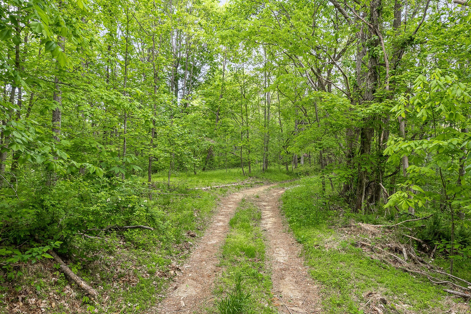 0 Hewitt Ridge Road Baxter, TN 38544 - Photo 24 of 62