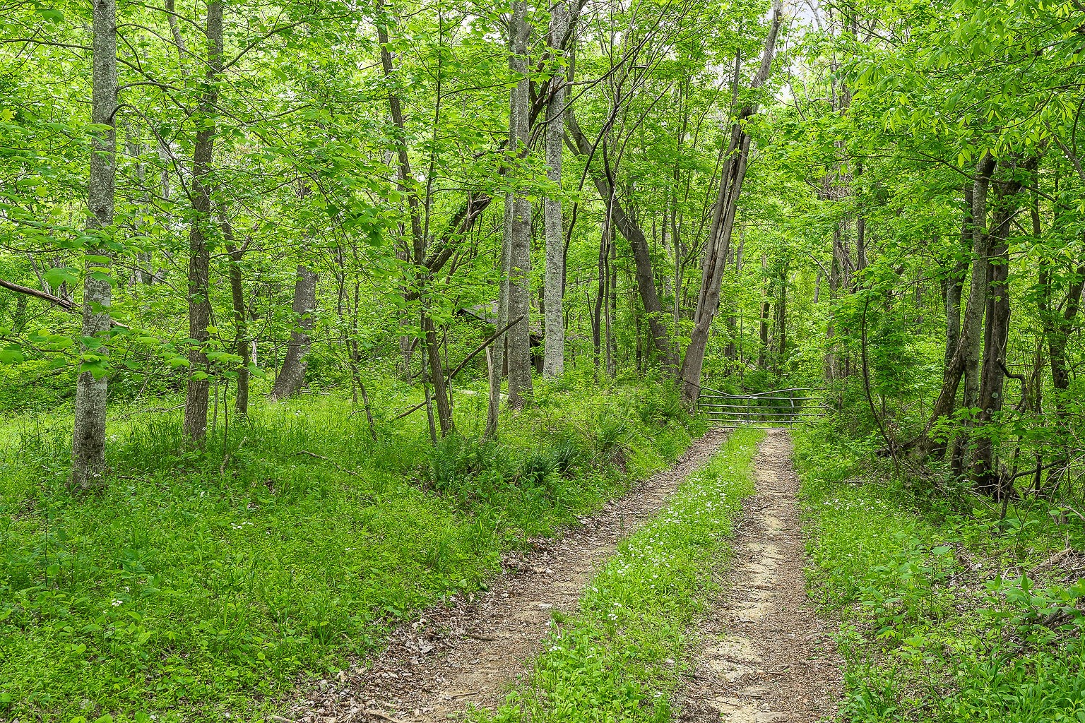 0 Hewitt Ridge Road Baxter, TN 38544 - Photo 26 of 62
