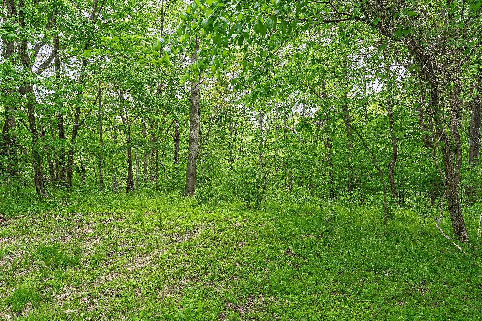 0 Hewitt Ridge Road Baxter, TN 38544 - Photo 27 of 62