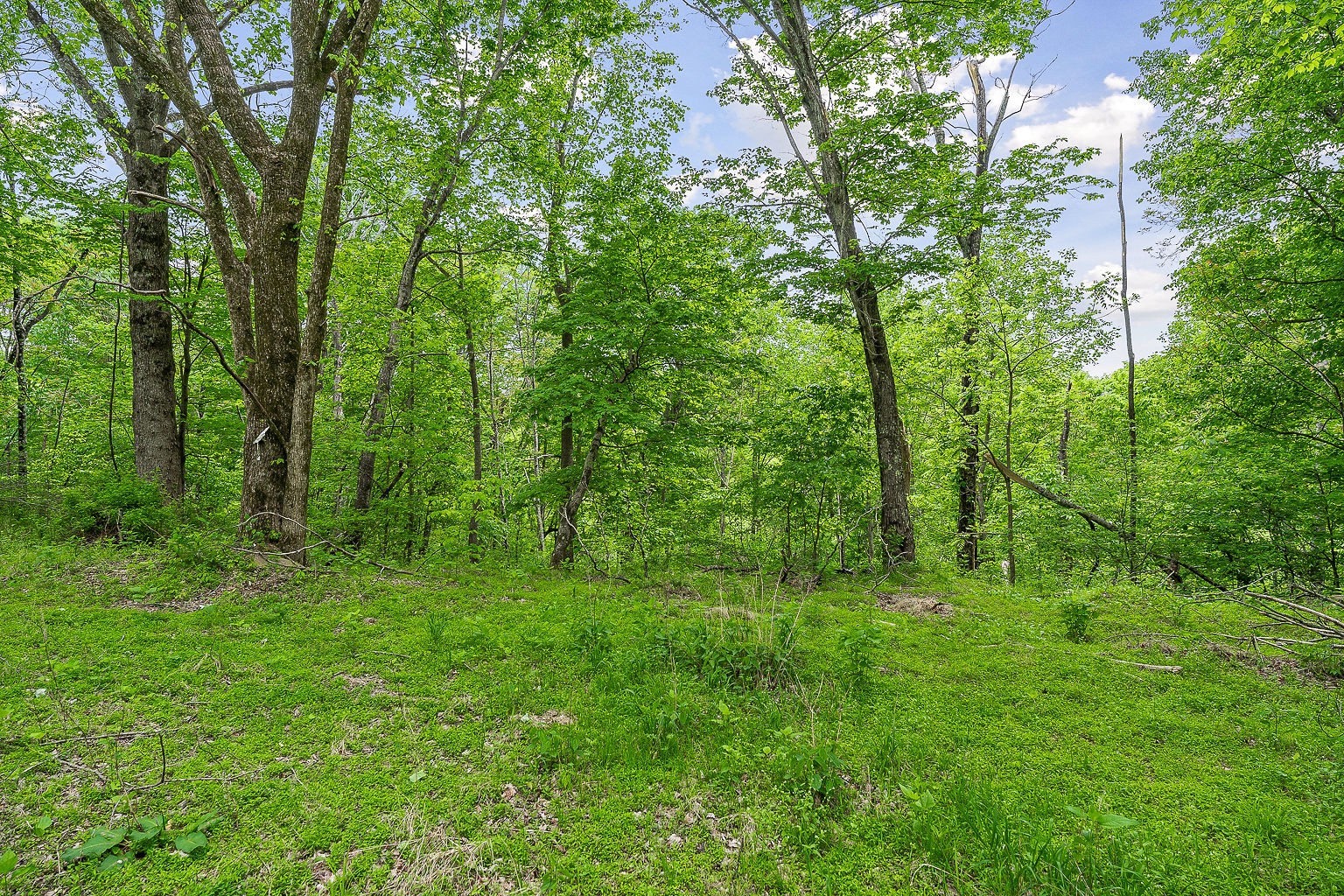 0 Hewitt Ridge Road Baxter, TN 38544 - Photo 28 of 62