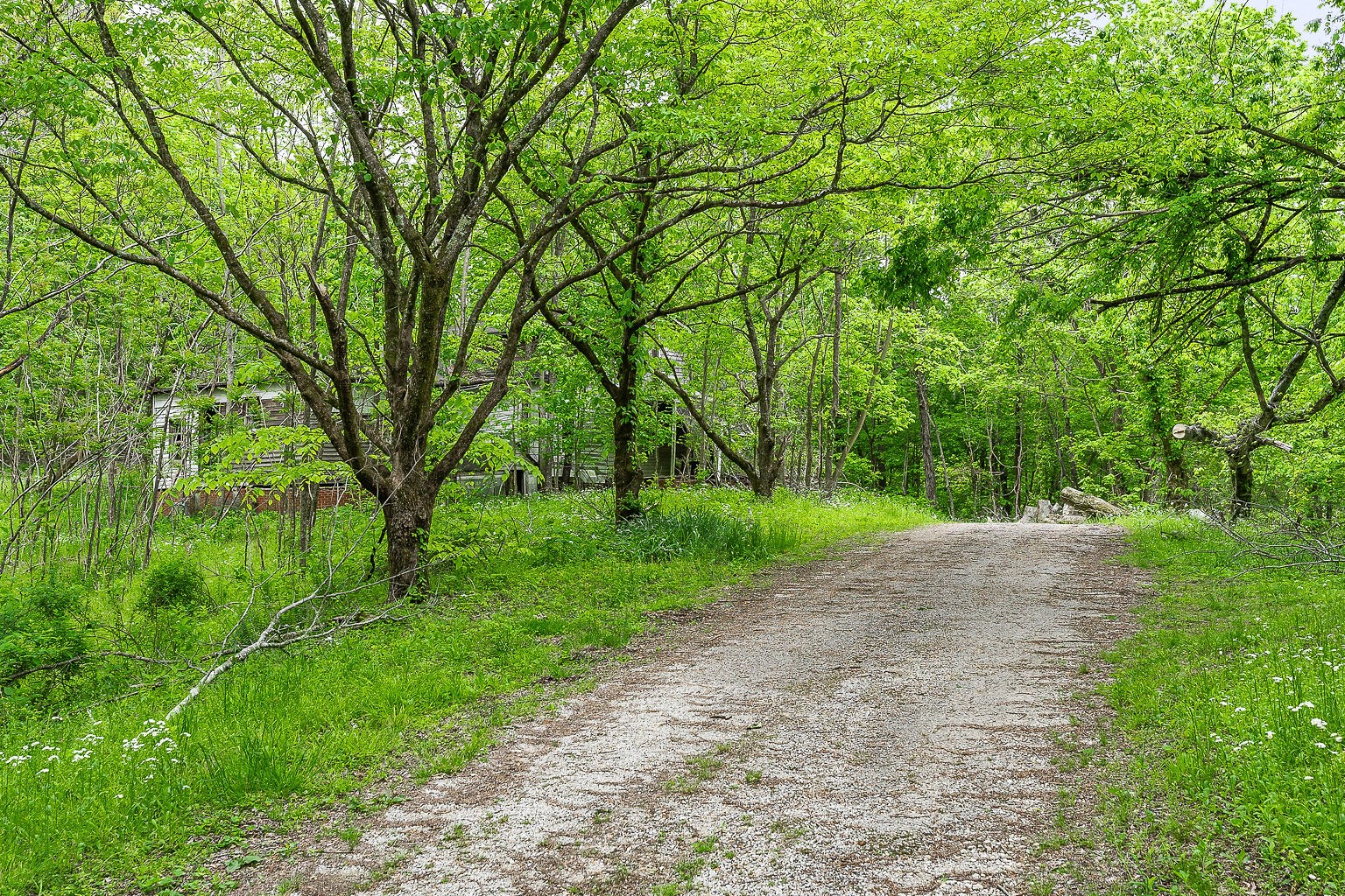 0 Hewitt Ridge Road Baxter, TN 38544 - Photo 30 of 62