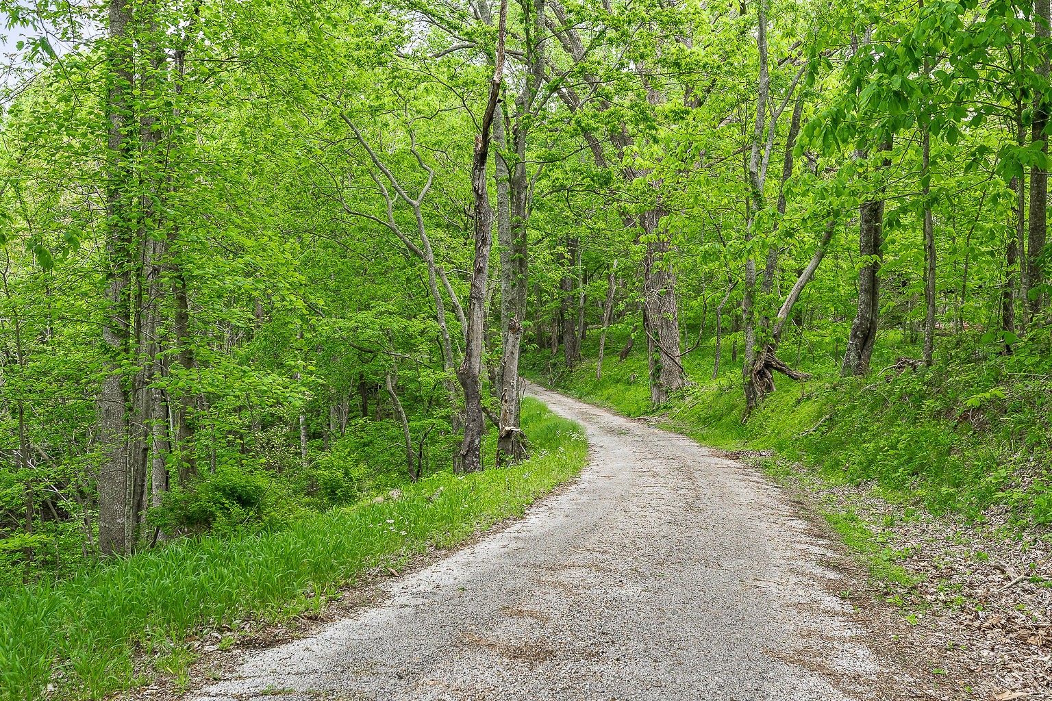 0 Hewitt Ridge Road Baxter, TN 38544 - Photo 31 of 62