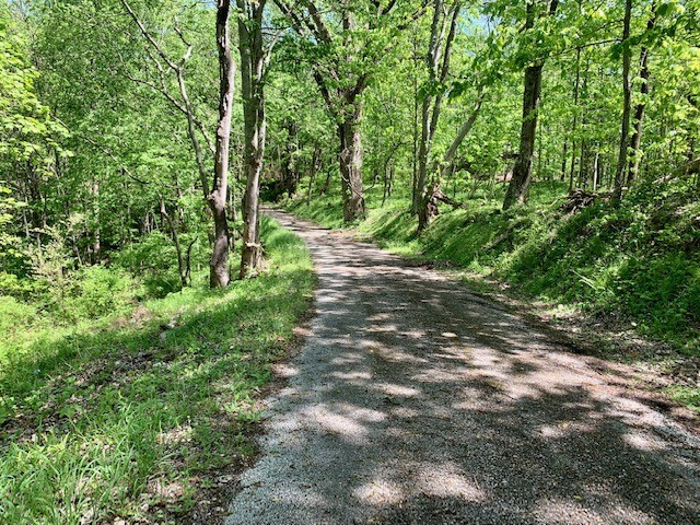 0 Hewitt Ridge Road Baxter, TN 38544 - Photo 33 of 62