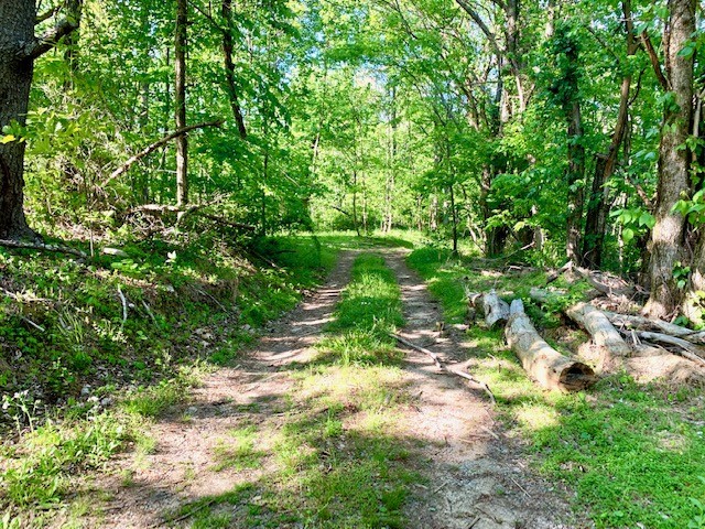 0 Hewitt Ridge Road Baxter, TN 38544 - Photo 36 of 62