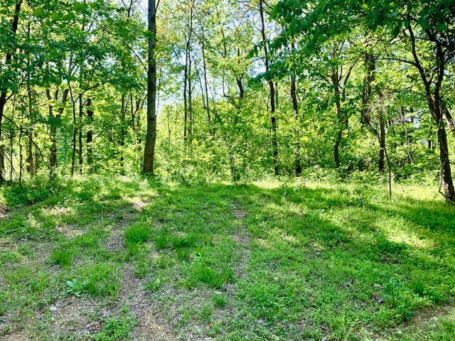 0 Hewitt Ridge Road Baxter, TN 38544 - Photo 37 of 62