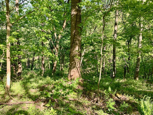 0 Hewitt Ridge Road Baxter, TN 38544 - Photo 38 of 62