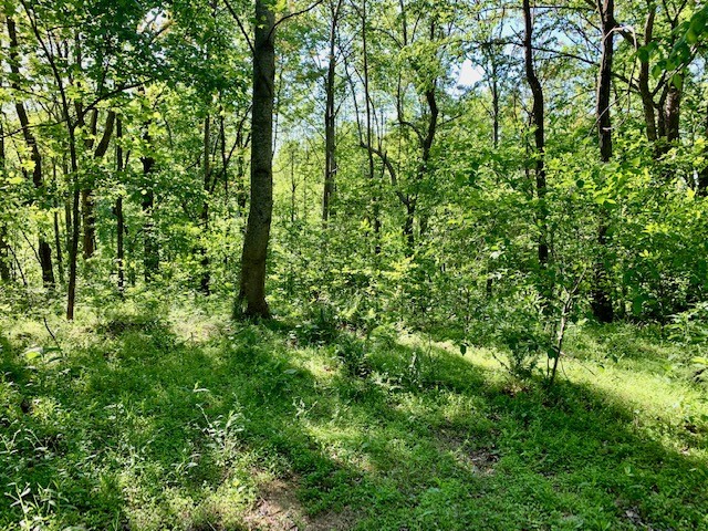 0 Hewitt Ridge Road Baxter, TN 38544 - Photo 42 of 62