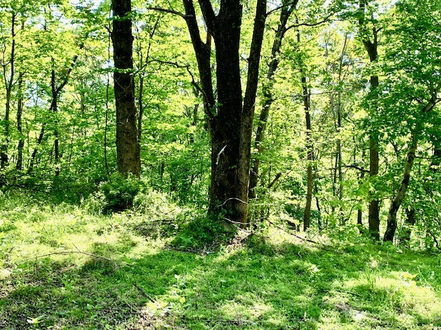 0 Hewitt Ridge Road Baxter, TN 38544 - Photo 43 of 62
