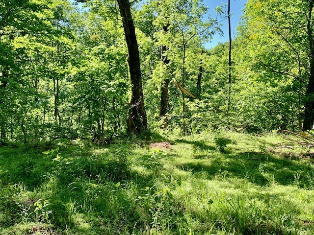 0 Hewitt Ridge Road Baxter, TN 38544 - Photo 44 of 62