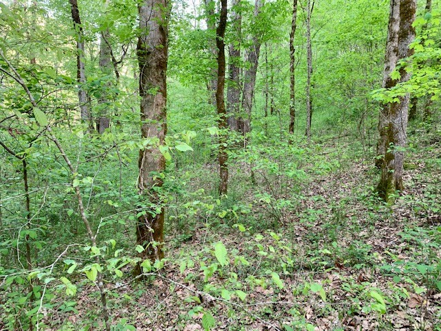 0 Hewitt Ridge Road Baxter, TN 38544 - Photo 50 of 62