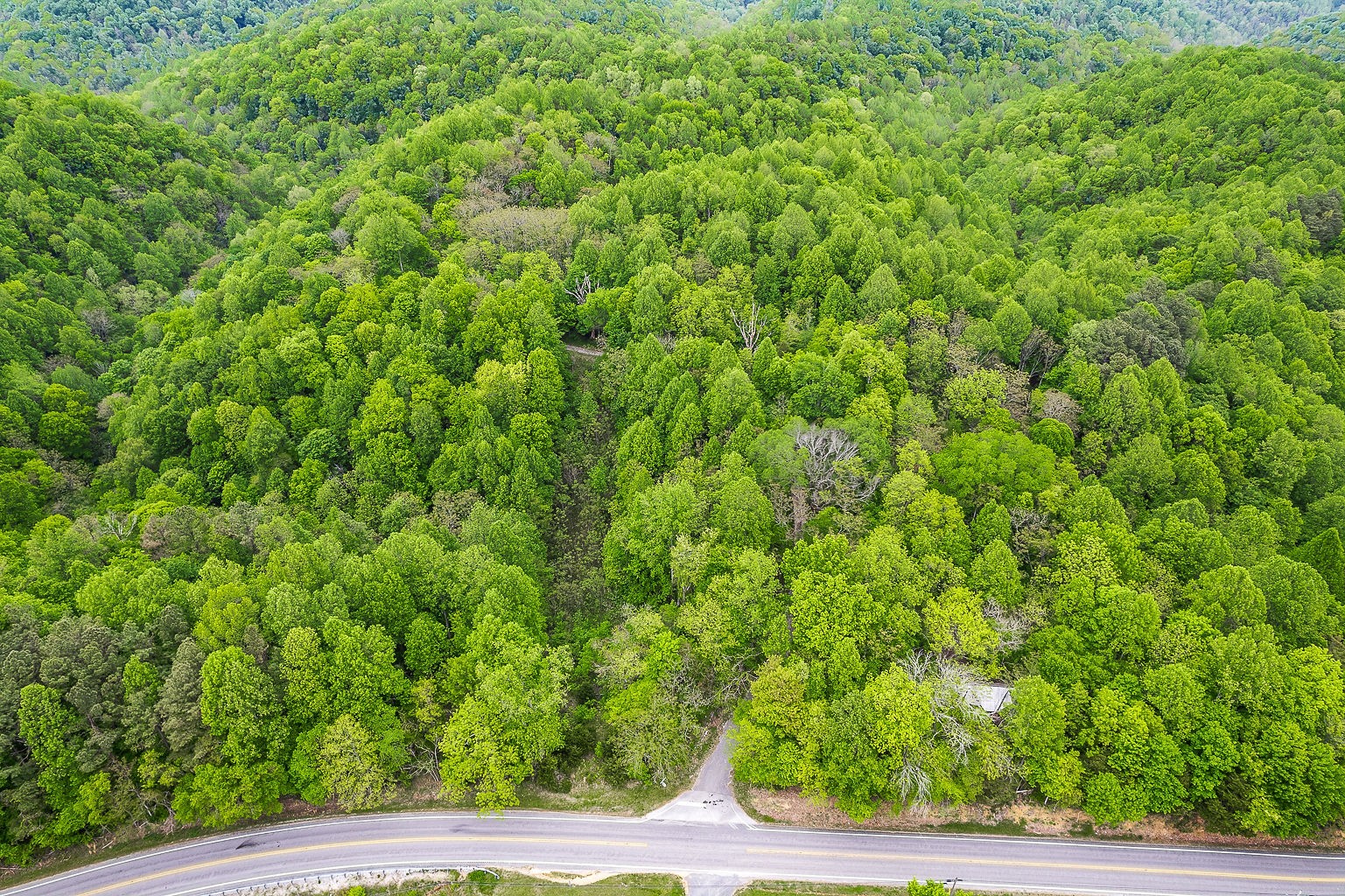 0 Hewitt Ridge Road Baxter, TN 38544 - Photo 5 of 62
