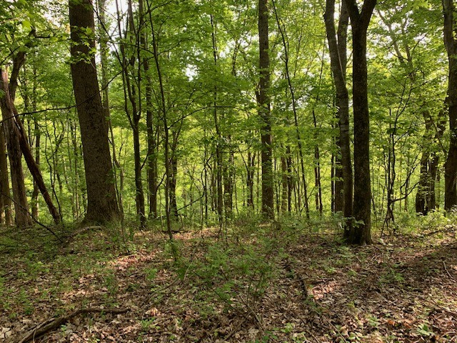0 Hewitt Ridge Road Baxter, TN 38544 - Photo 53 of 62