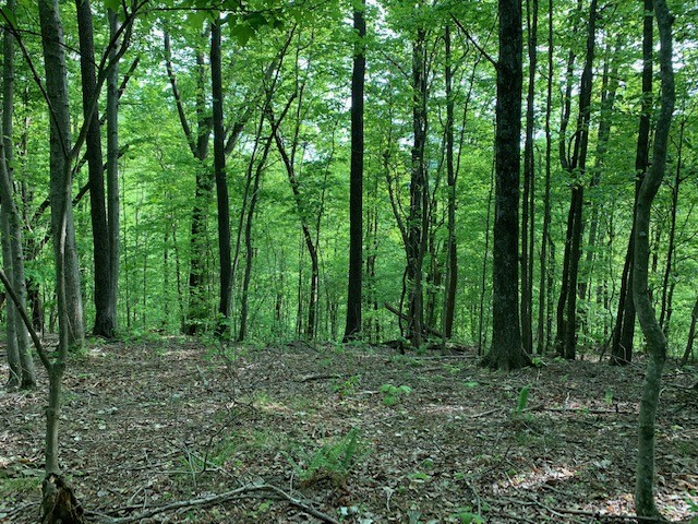 0 Hewitt Ridge Road Baxter, TN 38544 - Photo 54 of 62