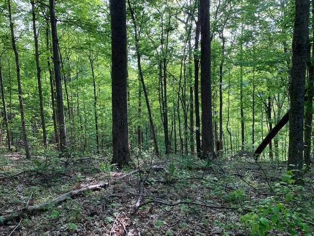 0 Hewitt Ridge Road Baxter, TN 38544 - Photo 55 of 62
