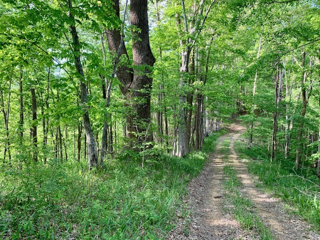 0 Hewitt Ridge Road Baxter, TN 38544 - Photo 56 of 62