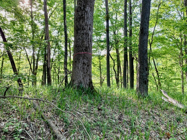 0 Hewitt Ridge Road Baxter, TN 38544 - Photo 57 of 62