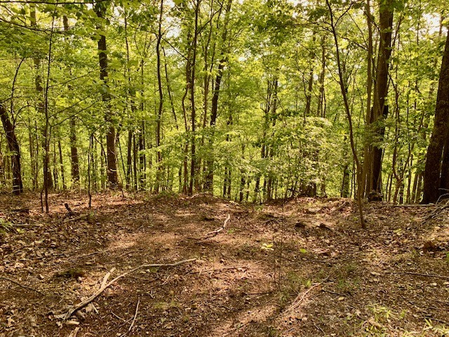 0 Hewitt Ridge Road Baxter, TN 38544 - Photo 59 of 62