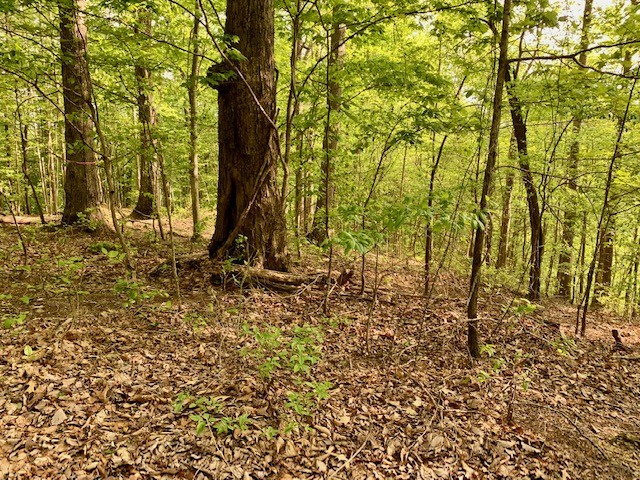0 Hewitt Ridge Road Baxter, TN 38544 - Photo 60 of 62
