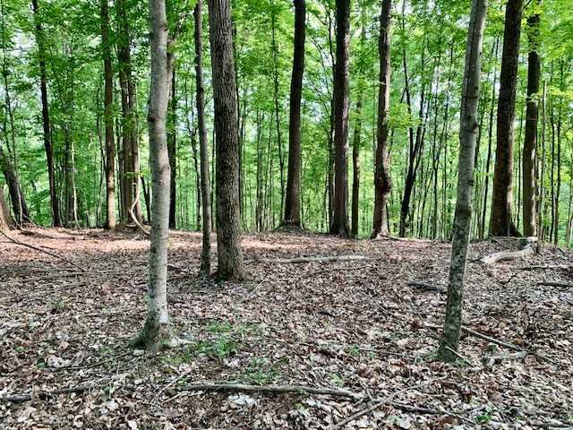 0 Hewitt Ridge Road Baxter, TN 38544 - Photo 62 of 62