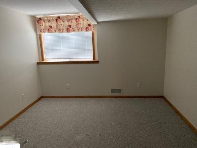 3427 West Finkle Road McBain, MI 49657 - Photo 16 of 37 1870317-20