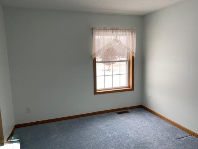 3427 West Finkle Road McBain, MI 49657 - Photo 10 of 37 1870317-14