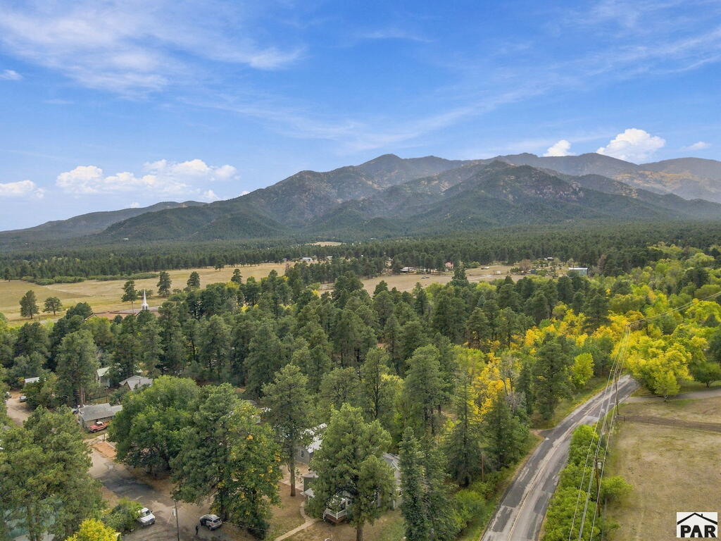 6037 Columbine Street Rye, CO 81069 - Photo 80 of 99 Gallery Image 80