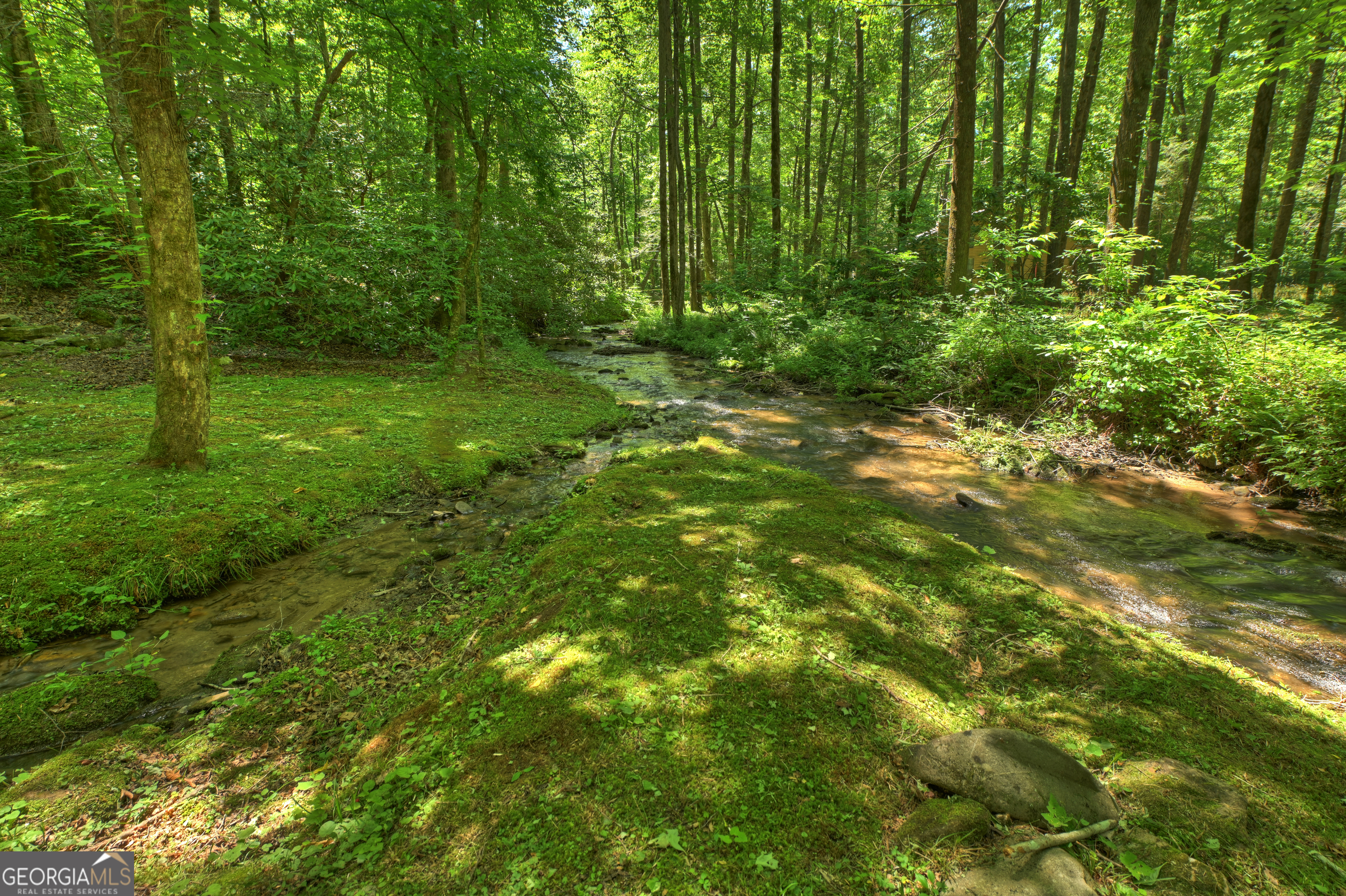 373 Barnes Creek Road Ellijay, GA 30540 - Photo 20 of 41