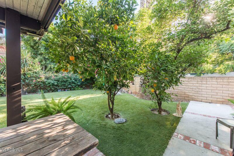 19620 Leadwell Street Reseda, CA 91335 - Photo 23 of 28 a view of backyard with green space