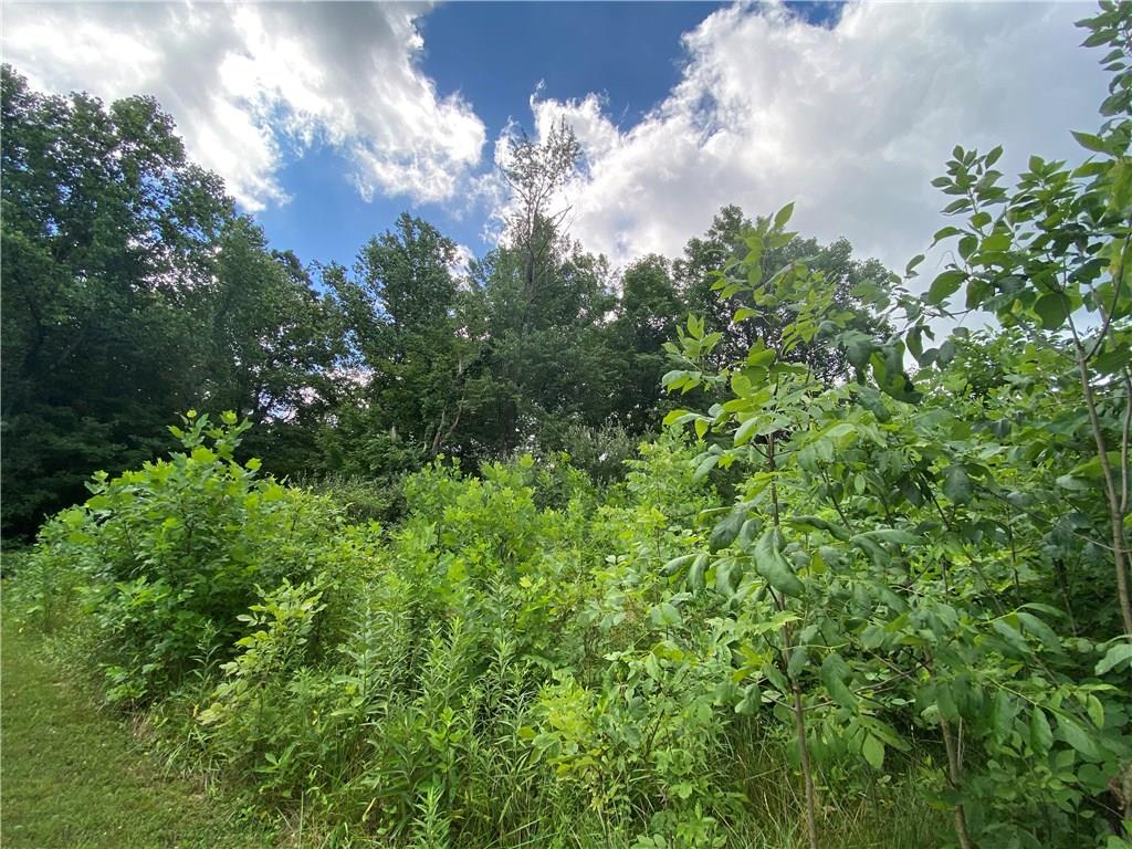 0 Turkey Track Road Martinsville, IN 46151 - Photo 1 of 4 Gallery Image 1