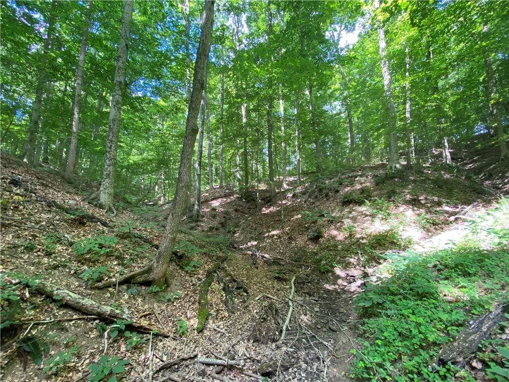 0 Turkey Track Road Martinsville, IN 46151 - Photo 4 of 4 Gallery Image 4