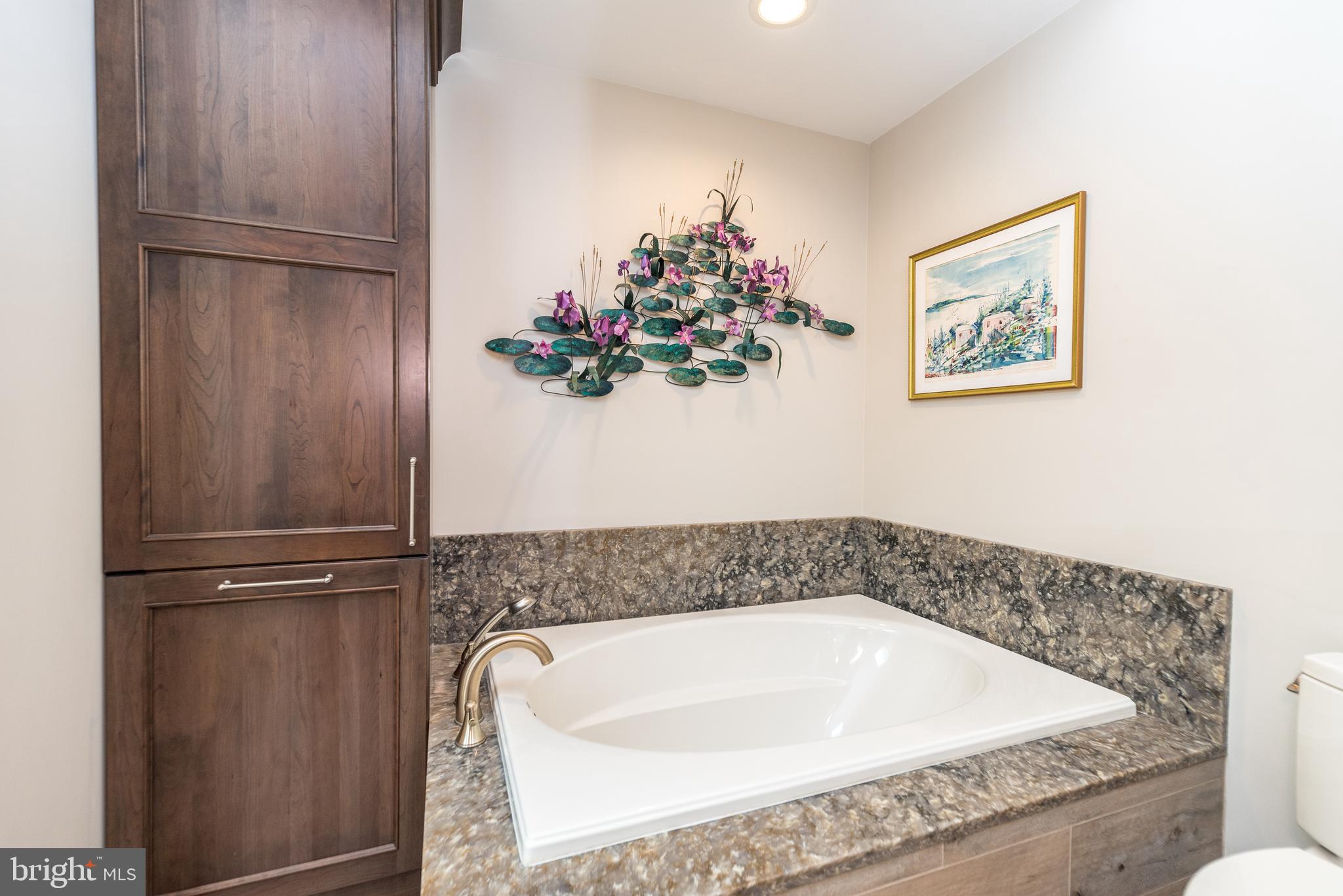 728 Signal Hill Road Dresher, PA 19025 - Photo 46 of 100 Primary bedroom new bathroom