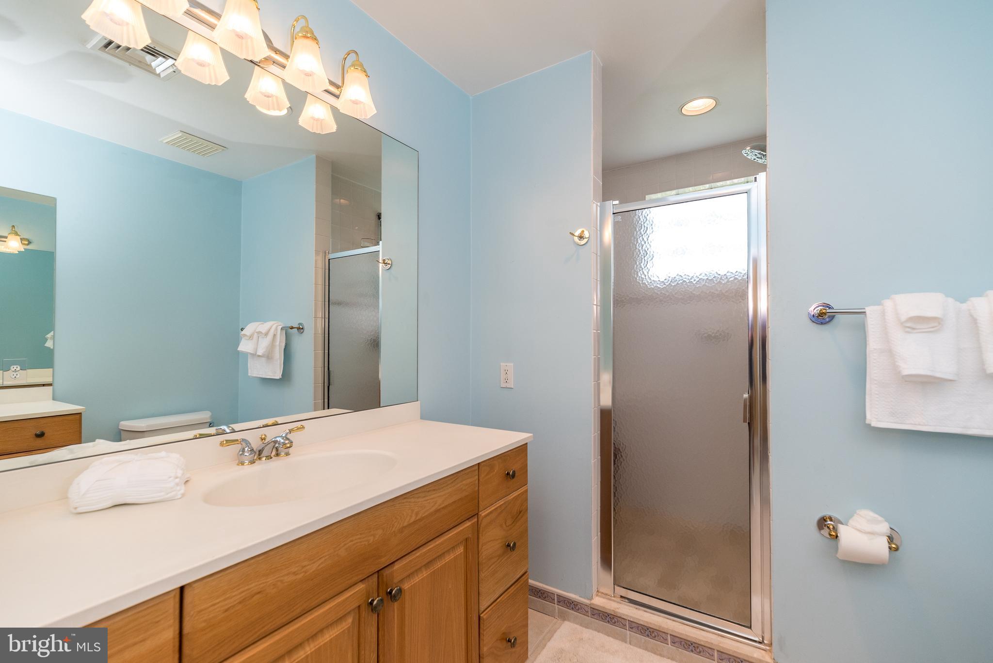 728 Signal Hill Road Dresher, PA 19025 - Photo 58 of 100 Full hall bathroom 2