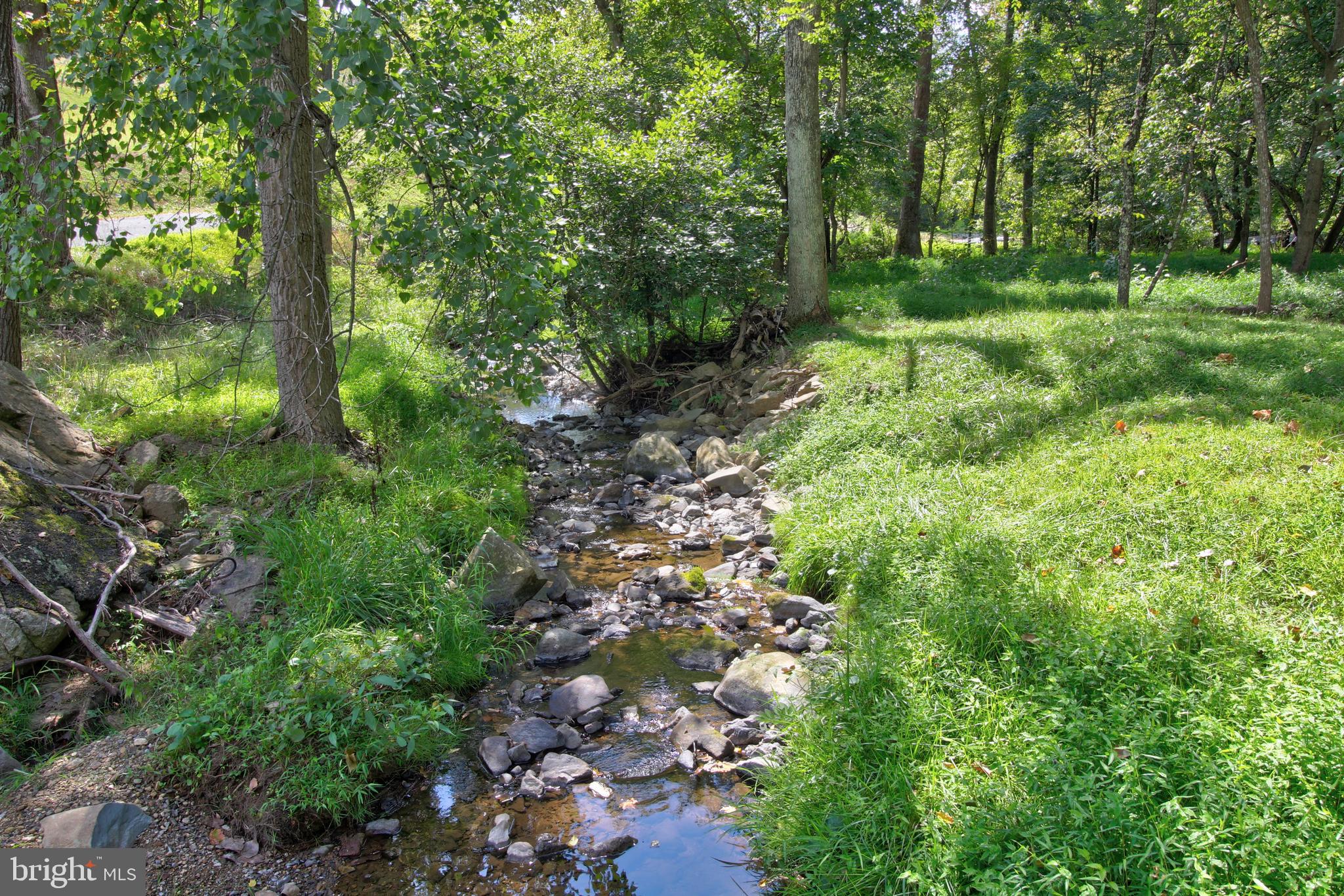 669 Gid Brown Hollow Road Washington, VA 22747 - Photo 37 of 54 Racer Run - a clear, rocky stream that sparkles