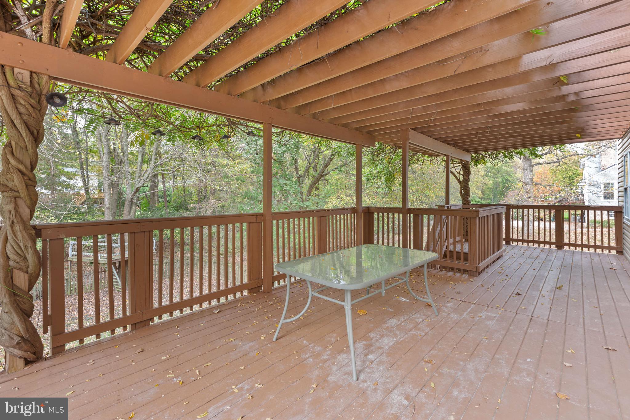 2824 Rifle Ridge Road Oakton, VA 22124 - Photo 17 of 50 Beautiful pergola covered with magical wisteria