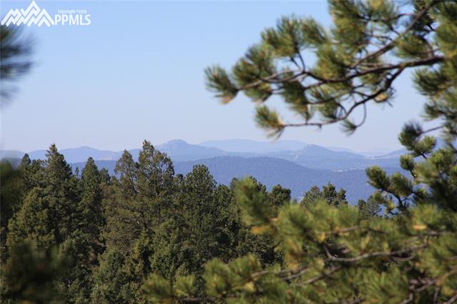 24 Spruce Creek Road Divide, CO 80814 - Photo 2 of 7 Gallery Image 2