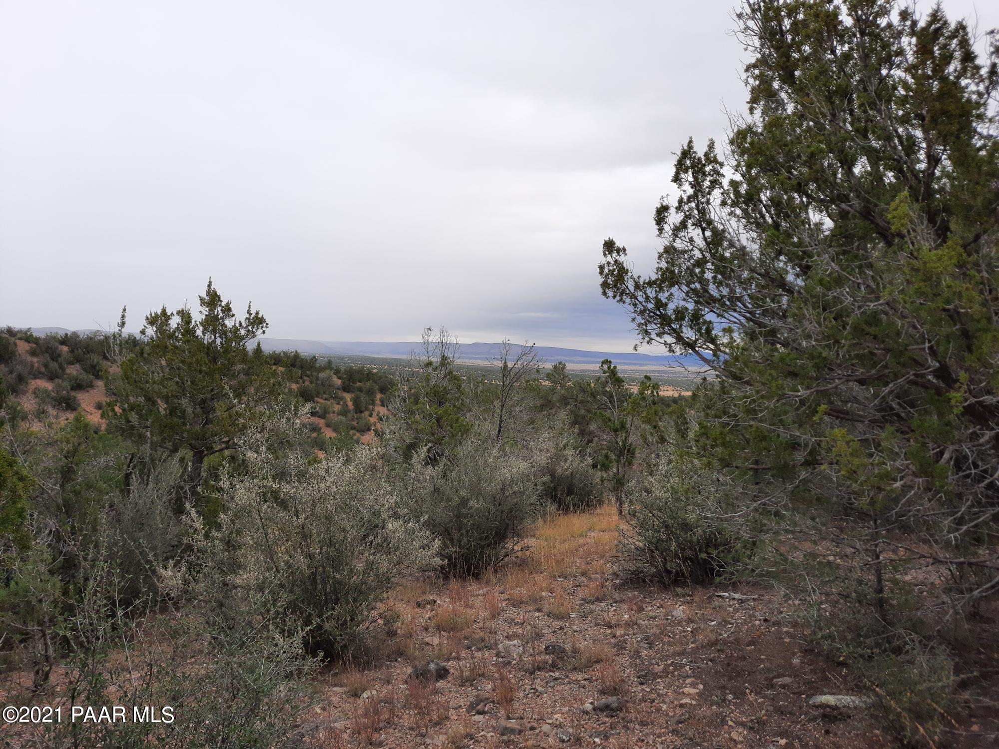 Lot 688 Off Ridge Seligman, AZ 86337 - Photo 8 of 9 20211008_131015