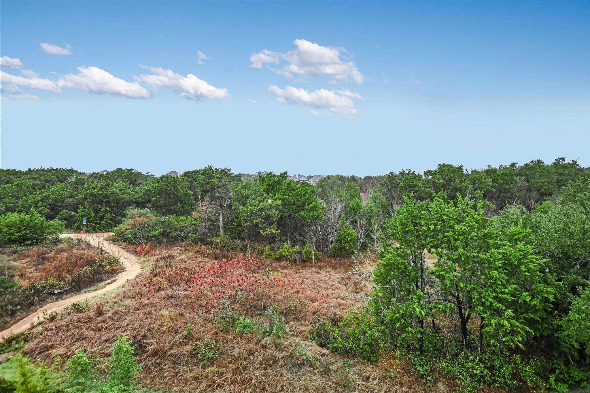 5212 Pink Poppy Pass, Unit 20 Austin, TX 78735 - Photo 20 of 24 View of woods