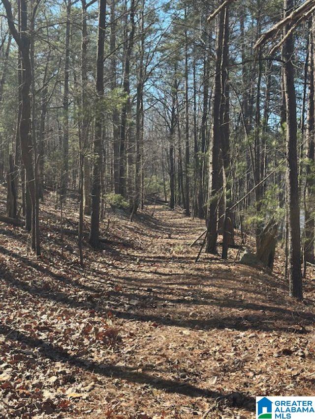 1 Mountain Top Road, Unit 1 Trussville, AL 35173 - Photo 10 of 17