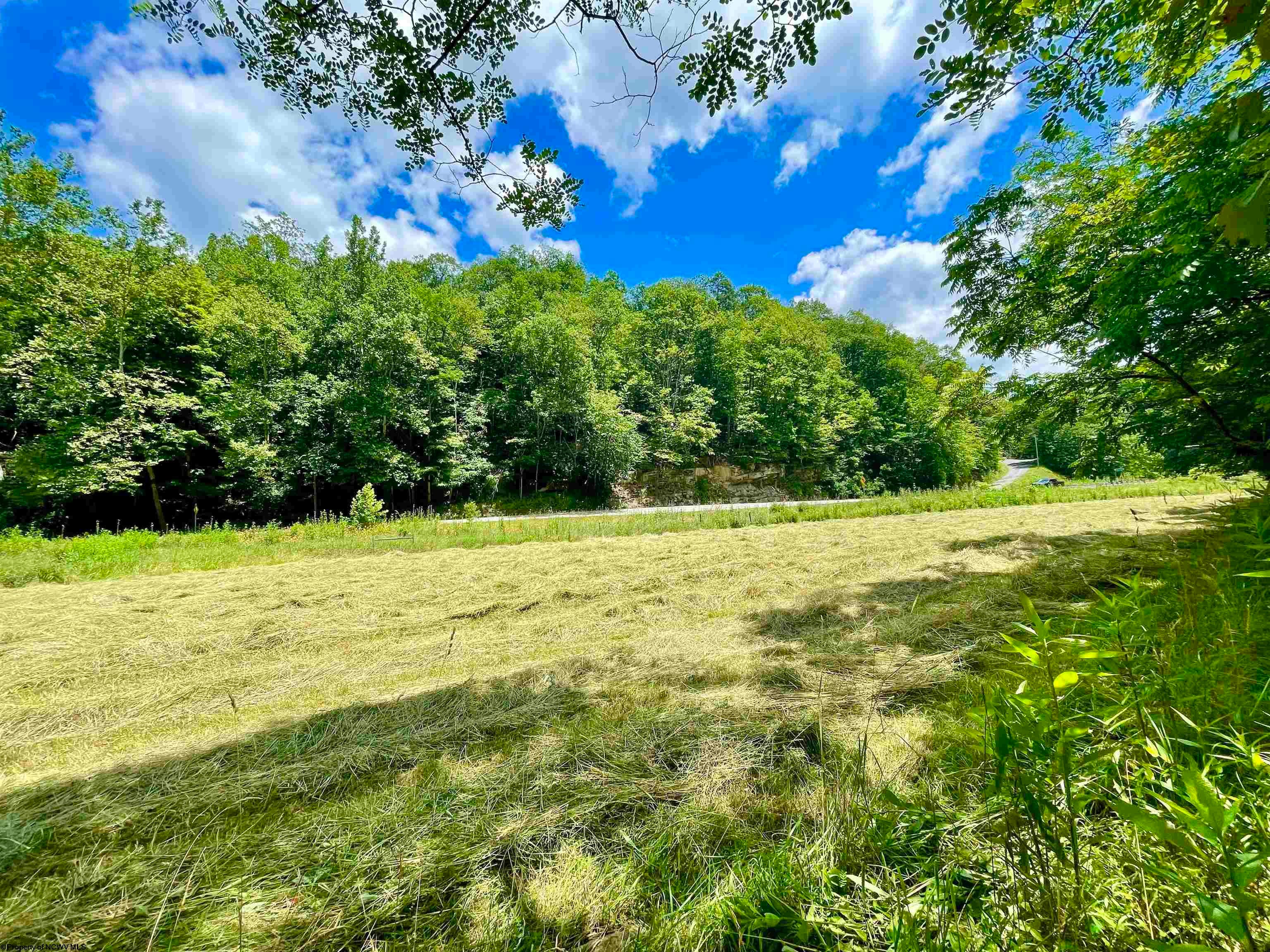 2766 Allegheny Drive Seneca Rocks, WV 26884 - Photo 4 of 19 Gallery Image 4